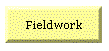 Fieldwork